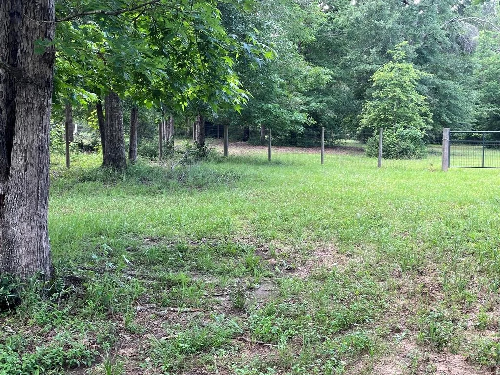 Photo of 495 Taras Path Path