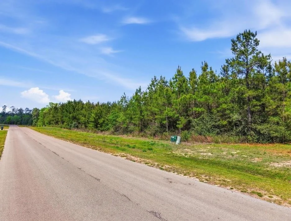Photo of 16166 Forest Mill Road