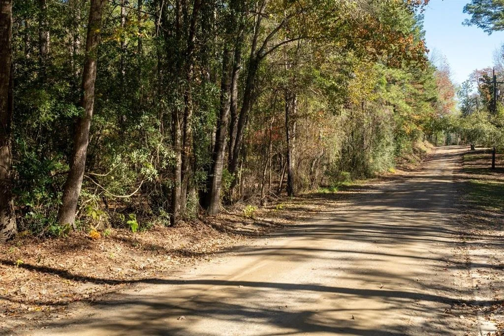 Photo of 445 County Road 3190