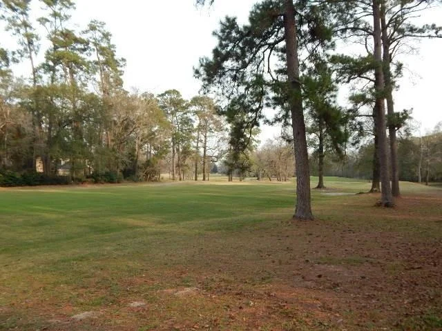 Photo of 615 River Plantation Drive
