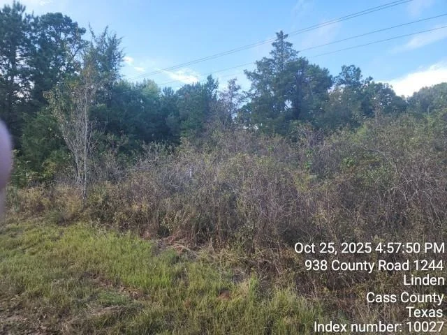 Photo of 938 County Road 1244 Road
