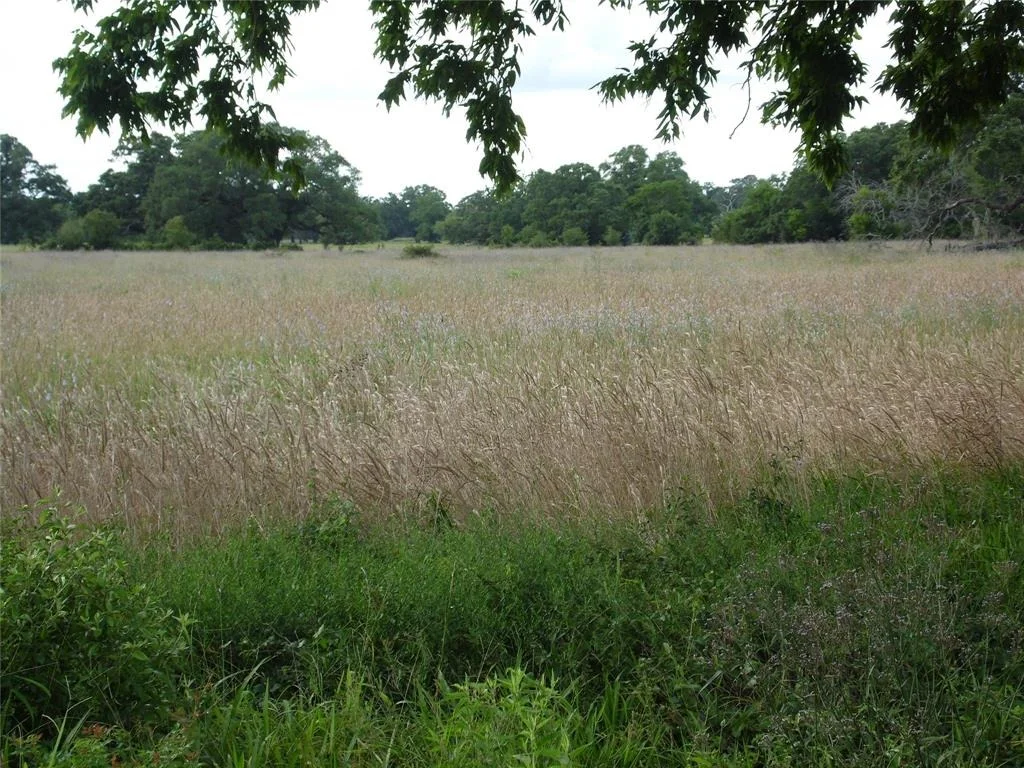 Photo of 154 Bowie Lot 26 Road