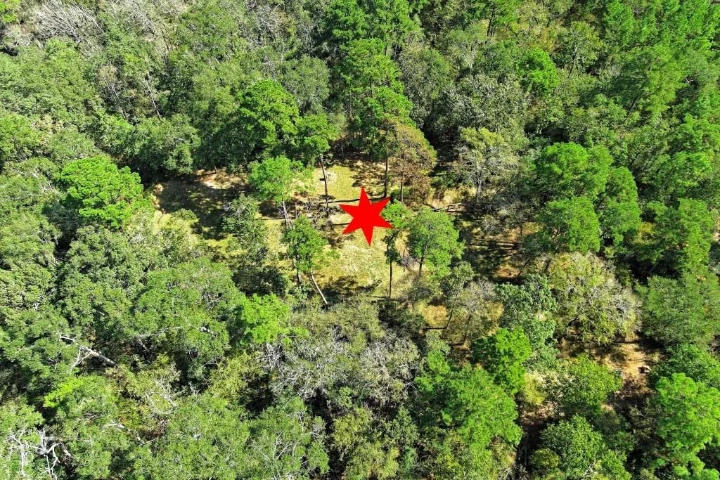 Photo of TBD Bryan Lane