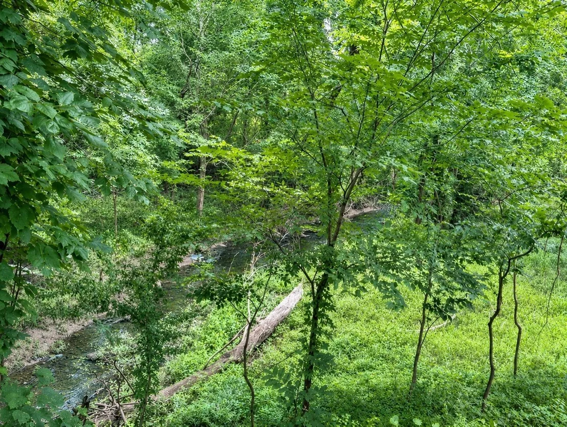 Photo of 3427 County Road 117
