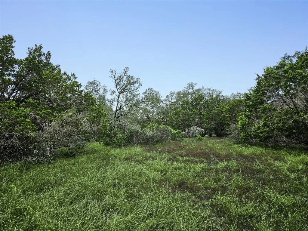 Photo of 157 Verbena Circle