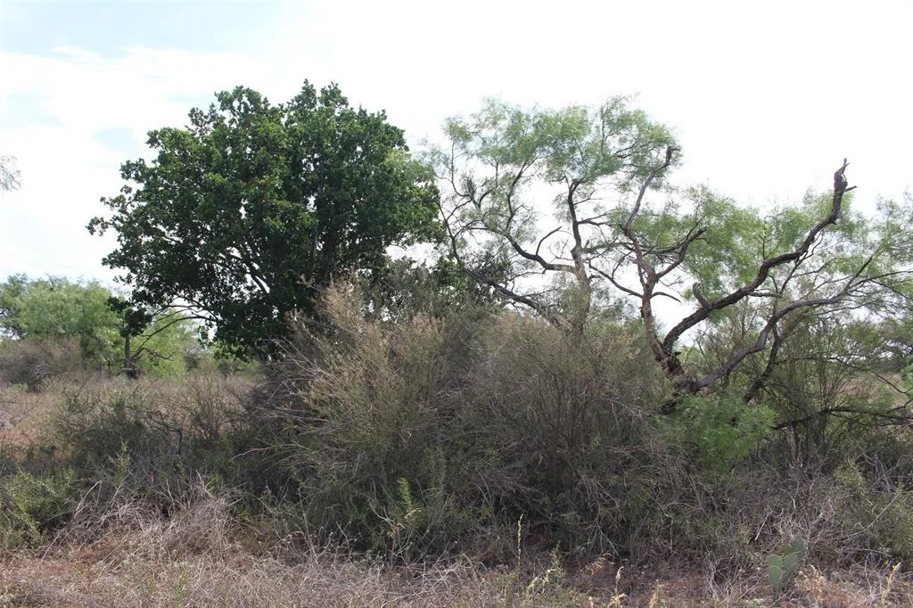 Photo of 000 Tx-29 Highway