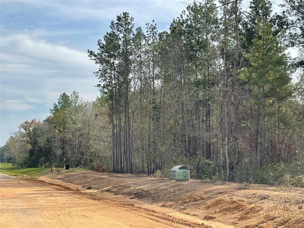 Photo of 11640 Grand North Road