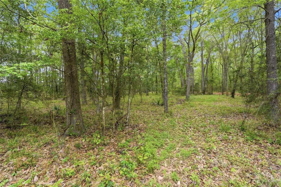 Photo of 19909 Big Oak Drive