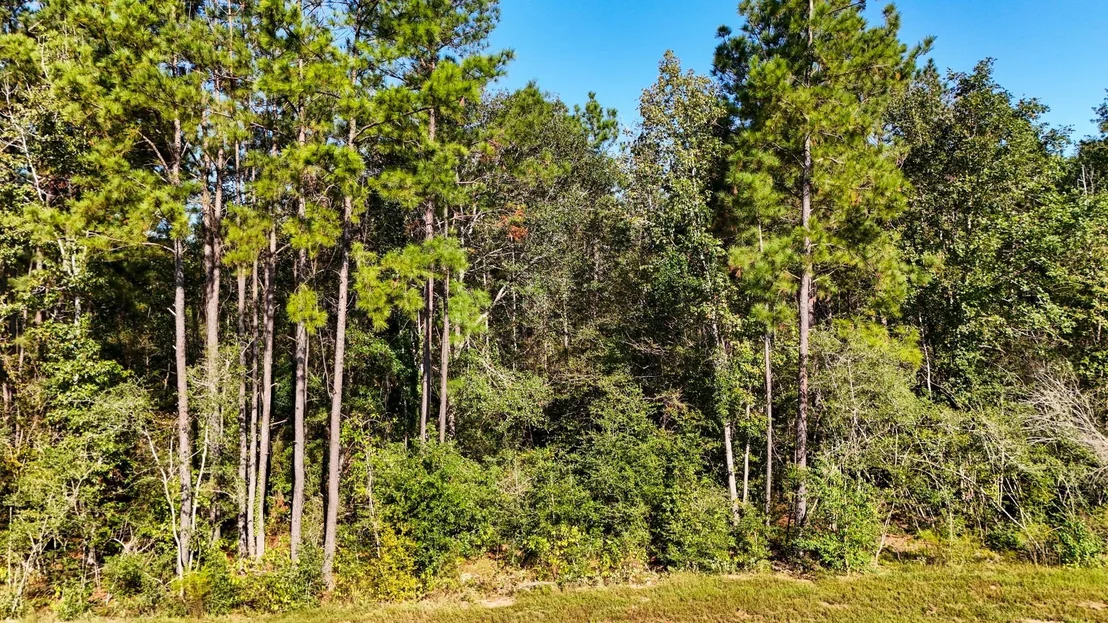 Photo of 15821 Ridge Rock Road