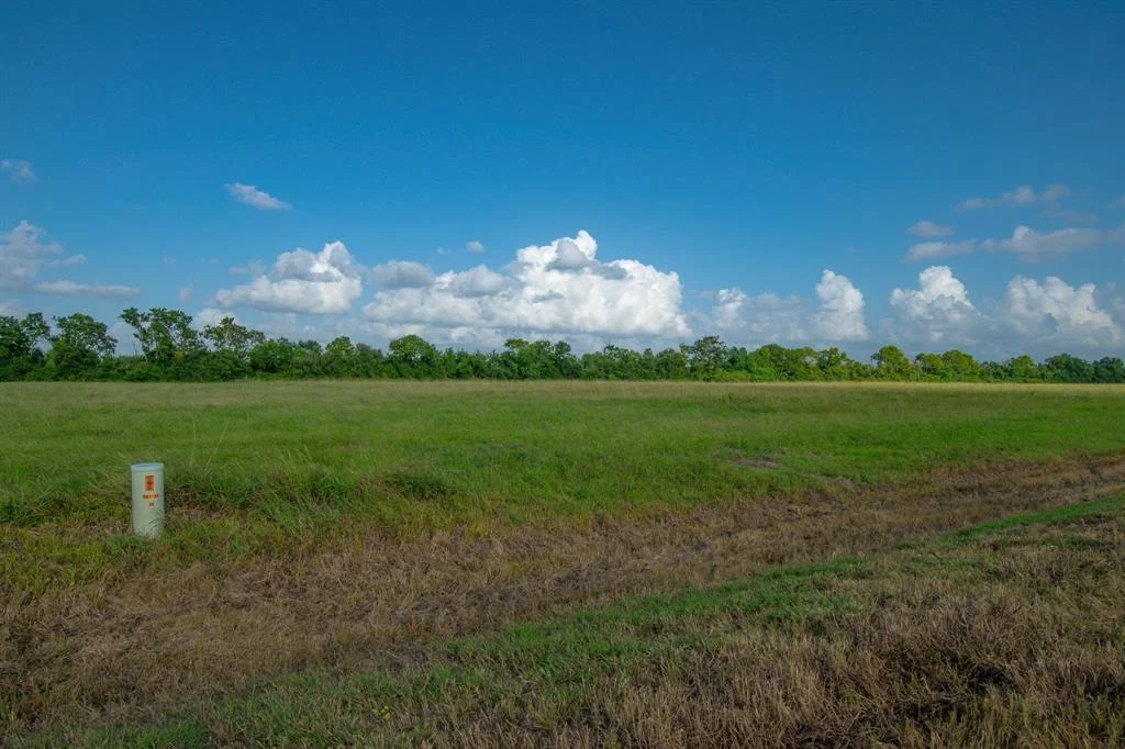 Photo of 1 Brahman Trail