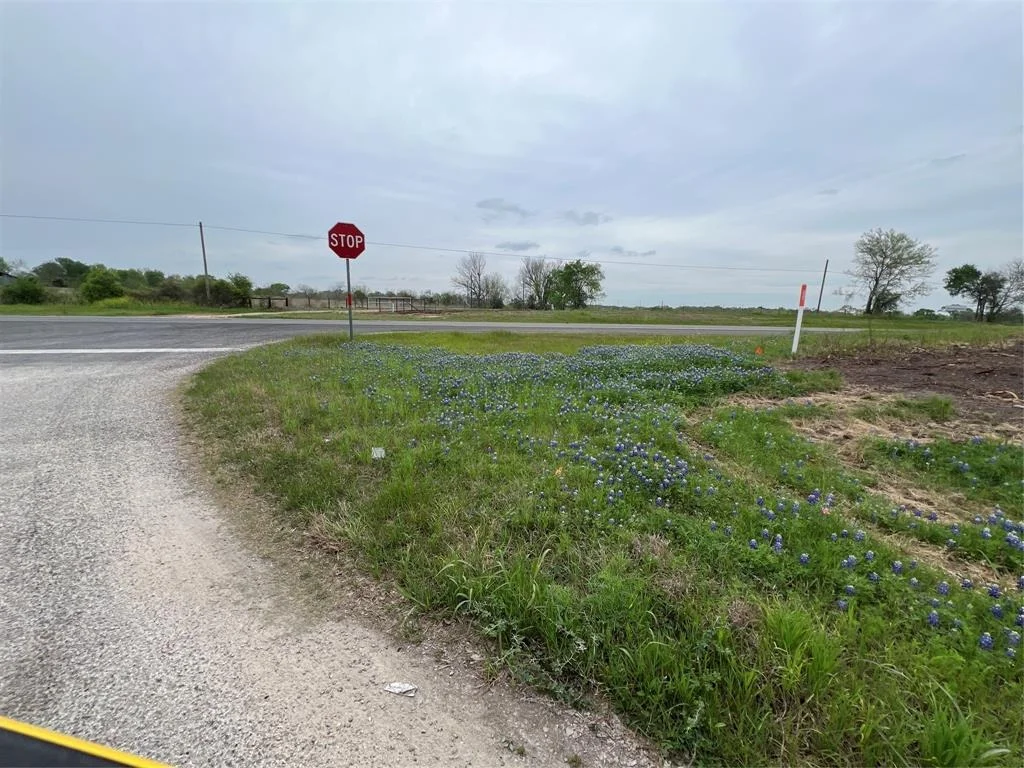 Photo of Lot #1 Tx-105