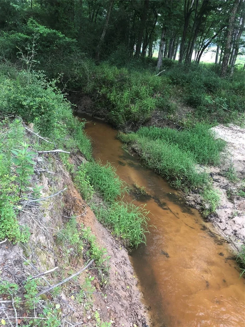 Photo of 1841 Pr 1315