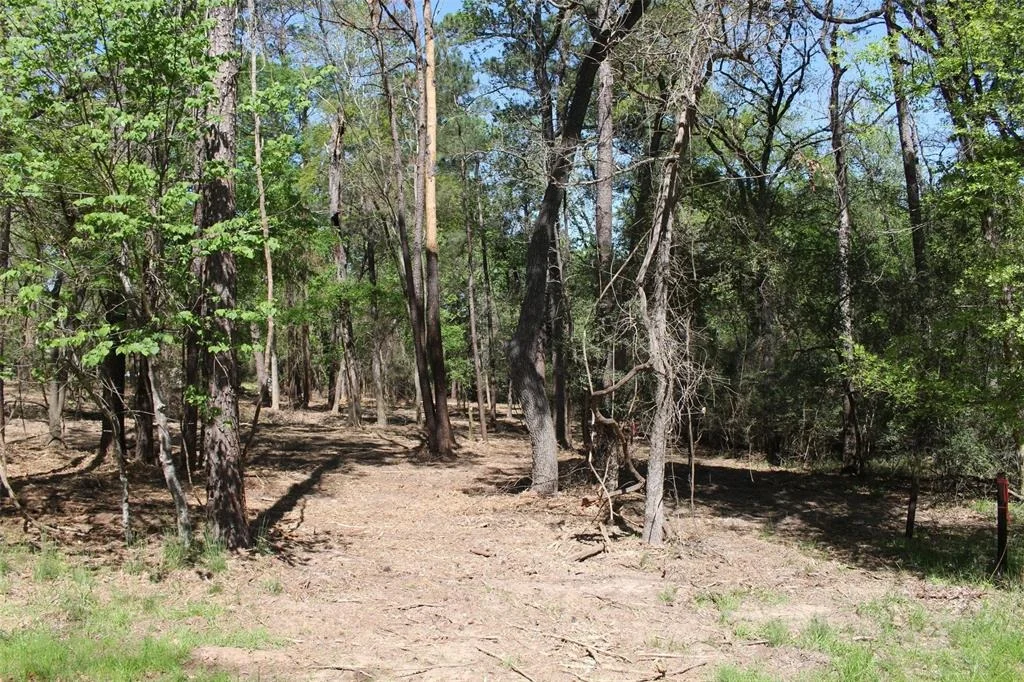 Photo of 145 Crossed Arrows
