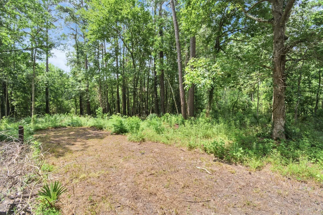 Photo of 20203 Live Oak Road
