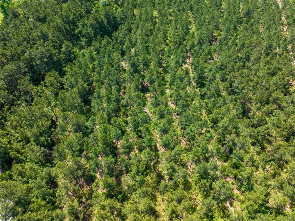 Photo of 1 Camp Ruby Road