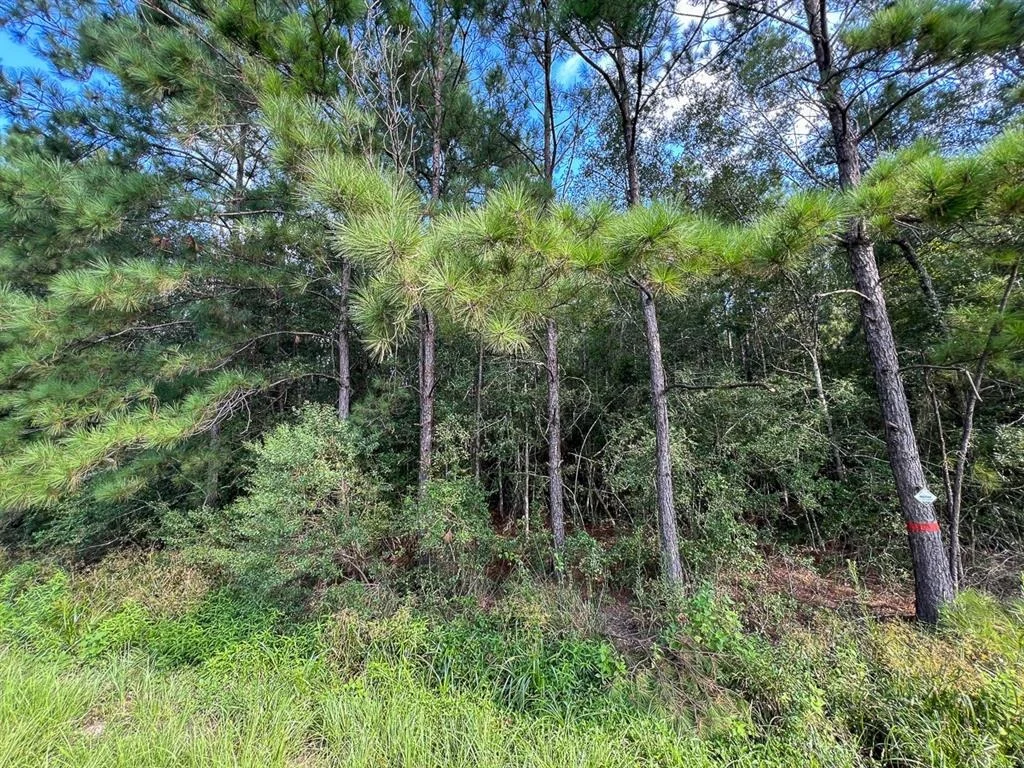 Photo of 1 Fm 2802