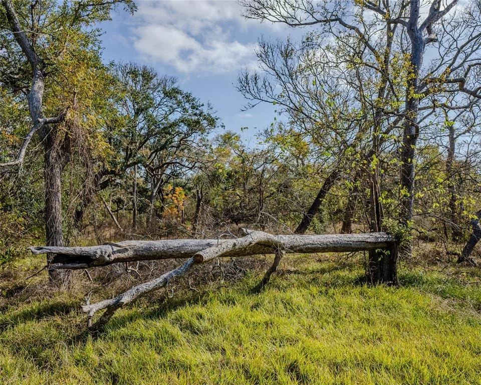 Photo of 39A County Road 297