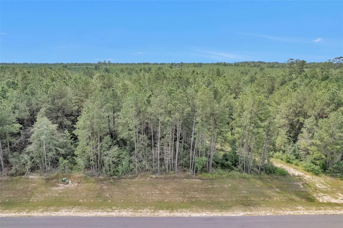 Photo of 11976 Highbranch Way