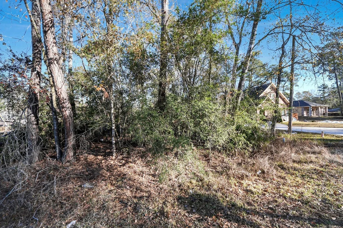 Photo of 1506 Flamingo Street