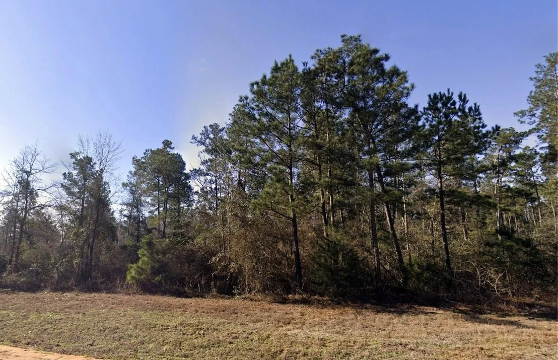 Photo of 11622 Grand North Road