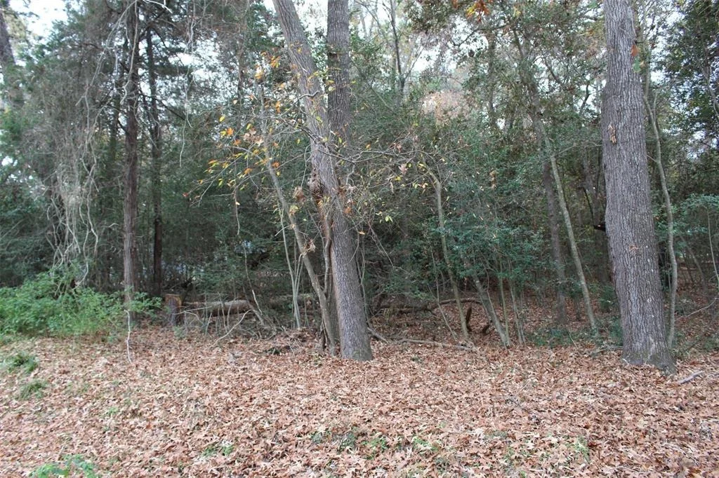 Photo of 225 Dailey Road