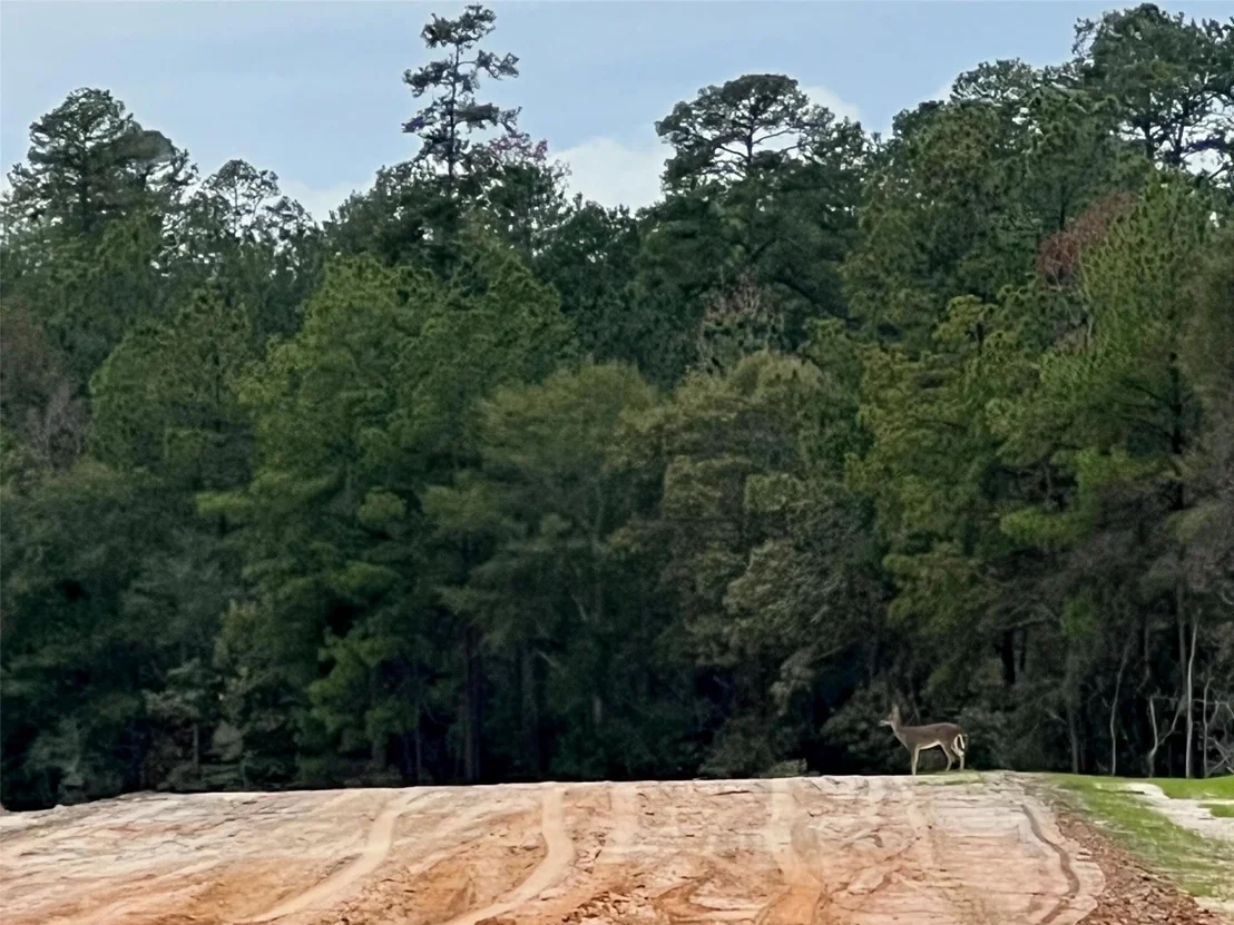 Photo of 168 Rock Ranch Drive