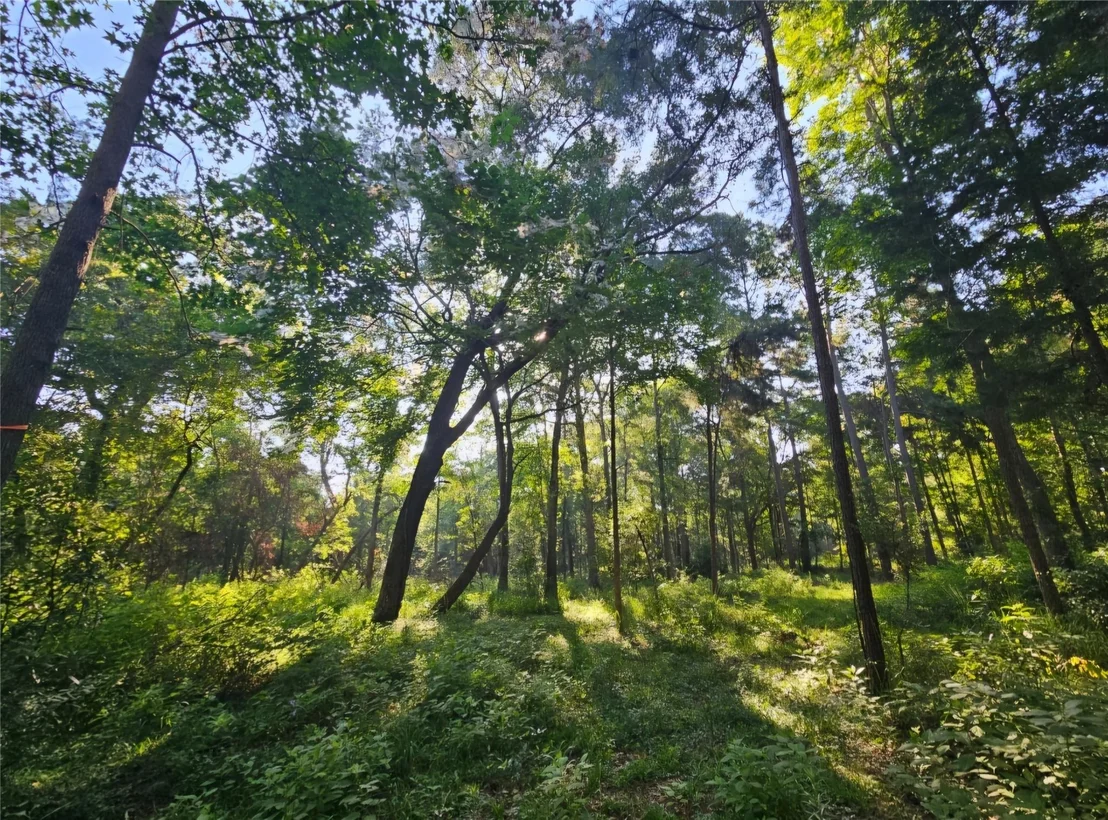 Photo of 16196 Cedar Lane Loop