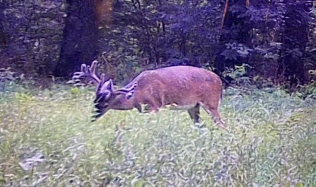 Photo of TBD Pr 1350