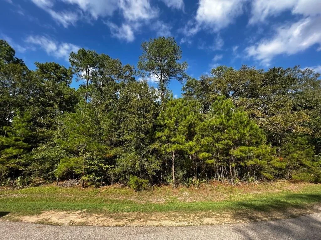 Photo of 11805 White Oak Pass