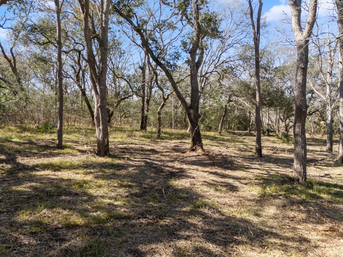Photo of 11 River Hollow Way