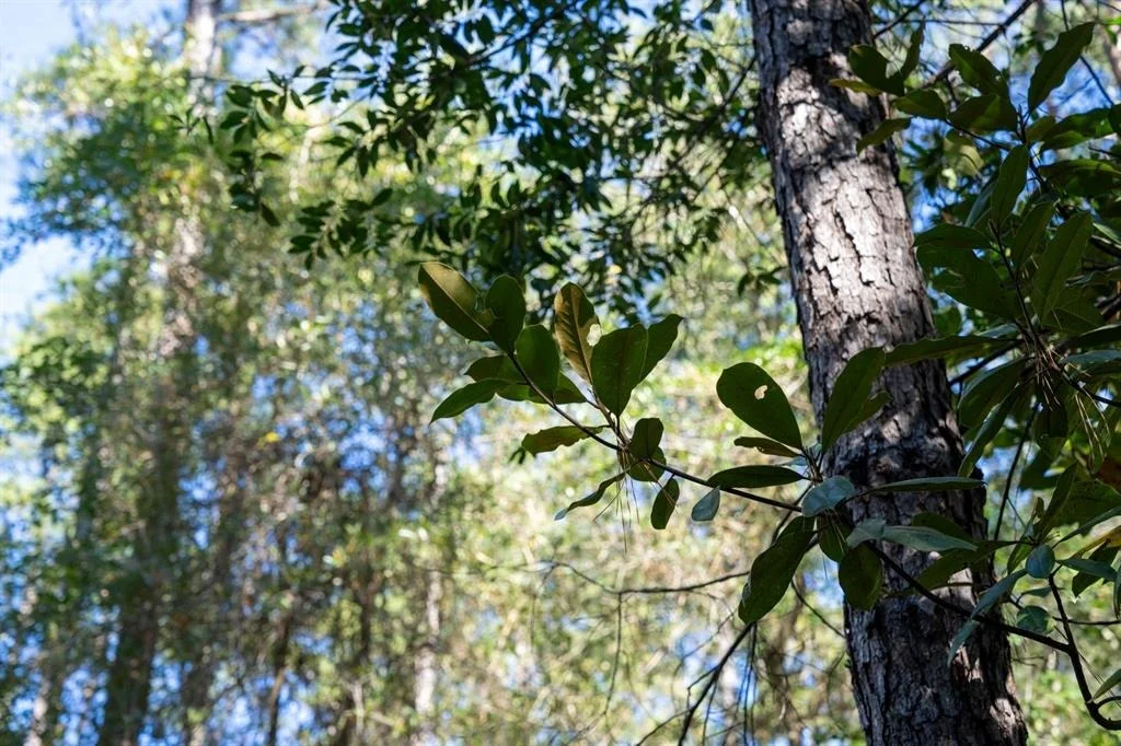 Photo of 445 County Road 3190