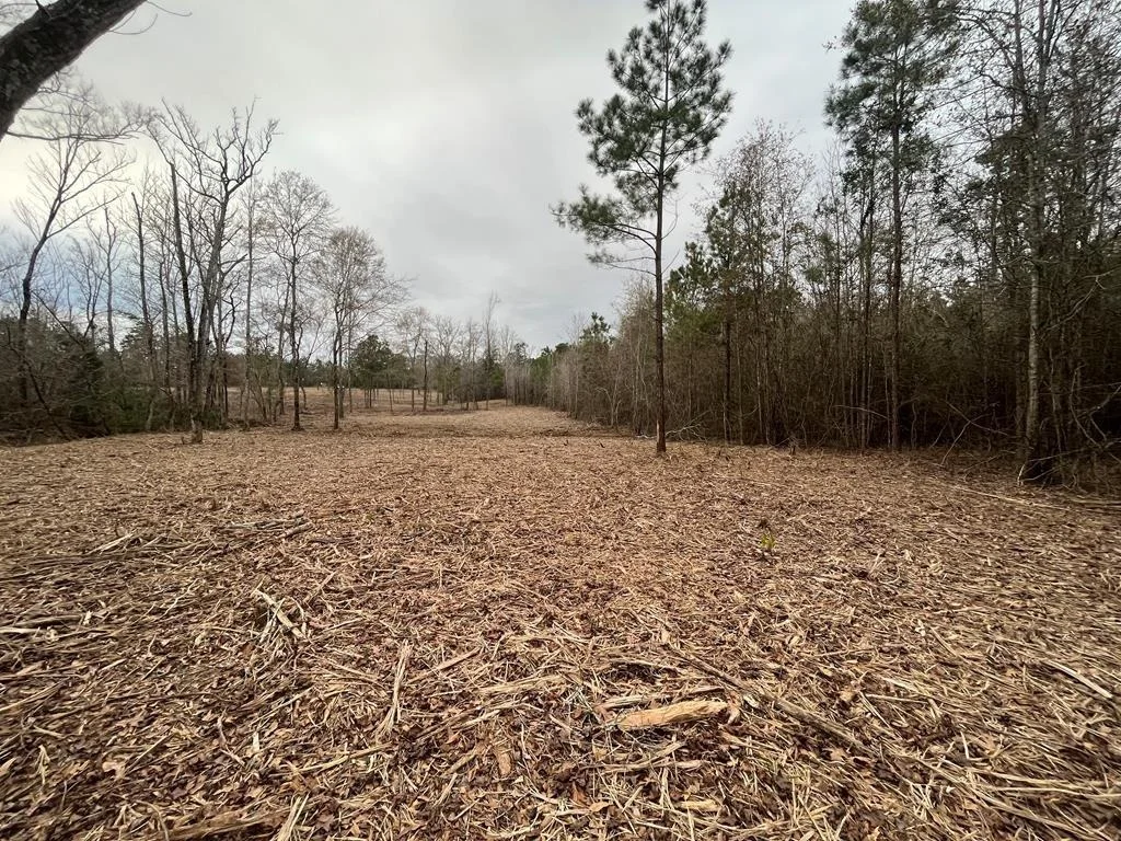 Photo of 10975 Highway 96 South