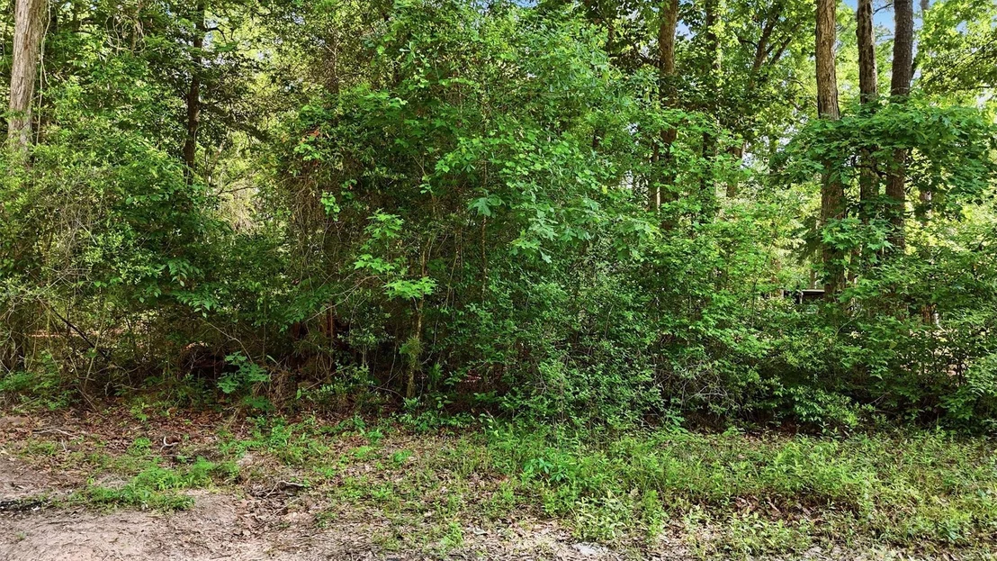 Photo of 164 Road 2699