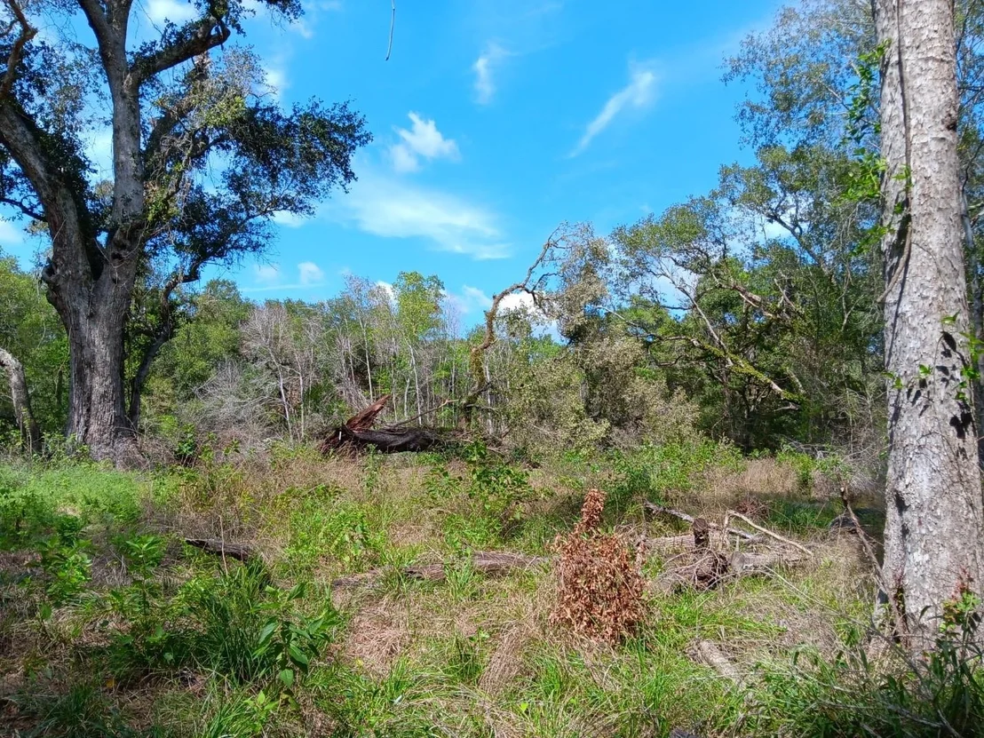 Photo of 8301 Brazos River Road