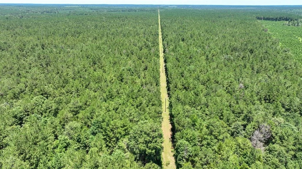 Photo of 850 County Road 4390