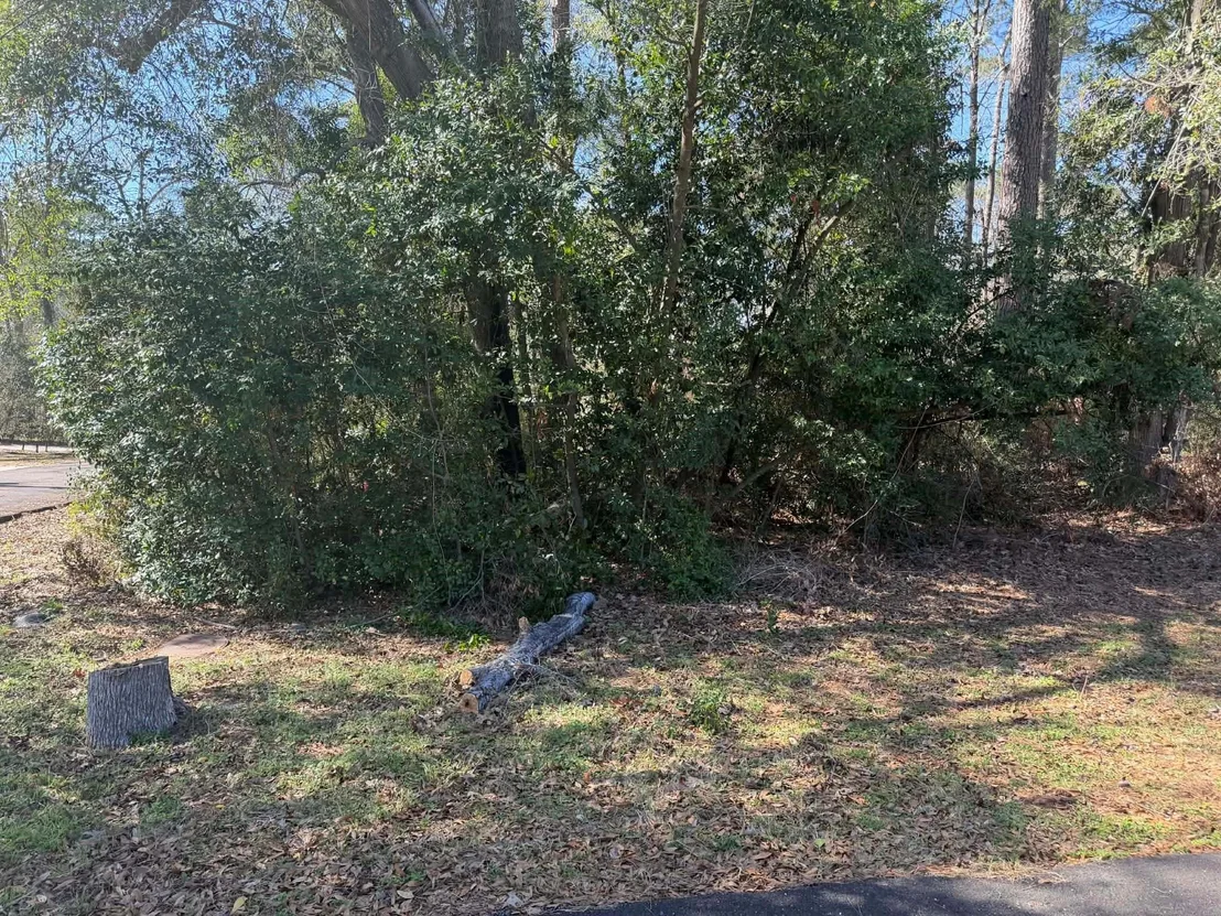 Photo of 137 Paradise Valley Drive