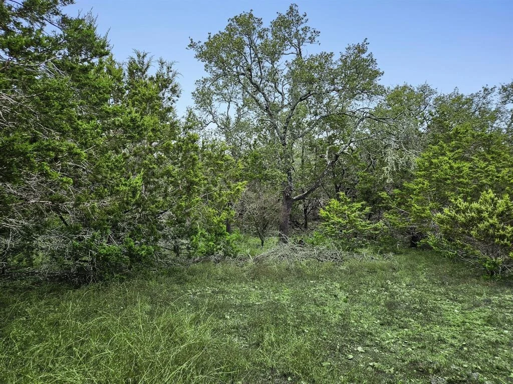 Photo of 157 Verbena Circle