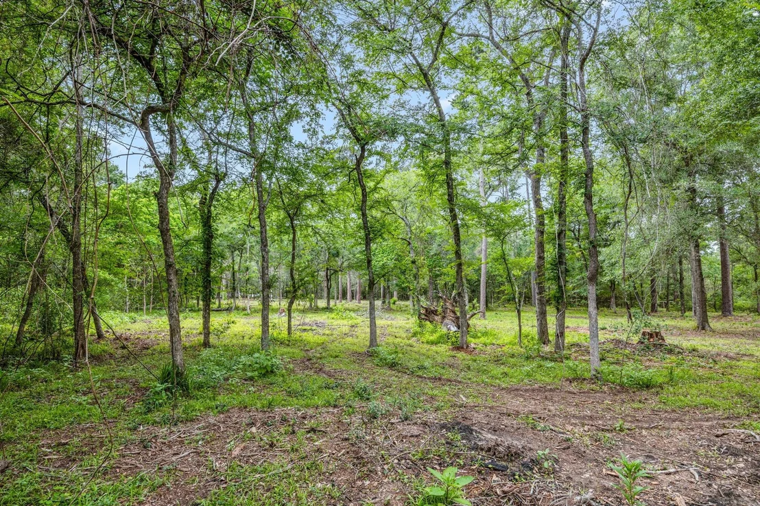 Photo of 26020 Pine Shadows Drive