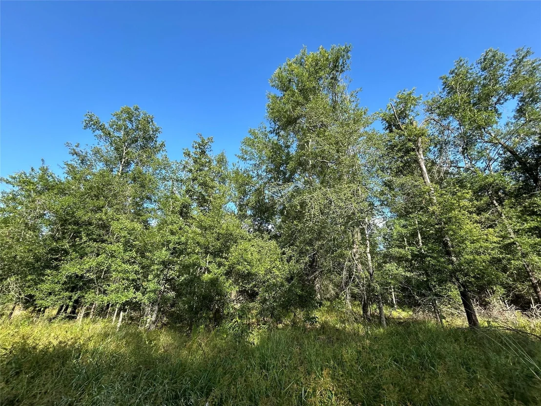 Photo of Tract 35 Fm 230