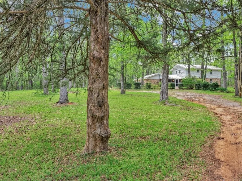 Photo of 235 County Barn Rd