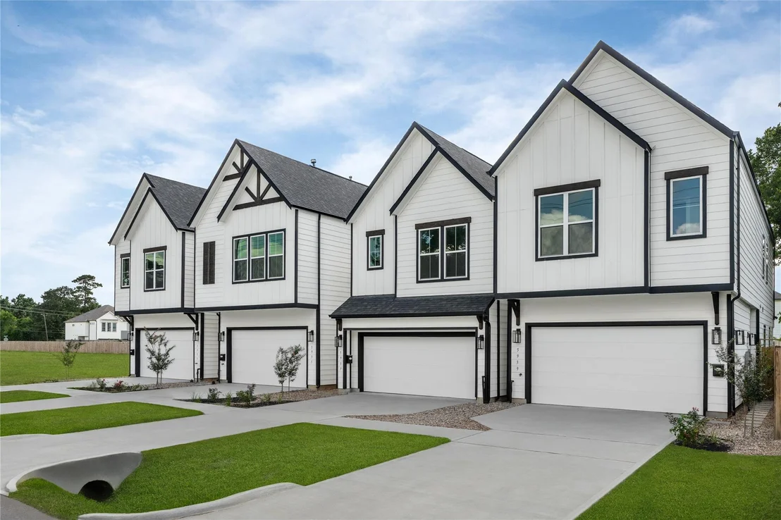 Photo of 5937 Cebra