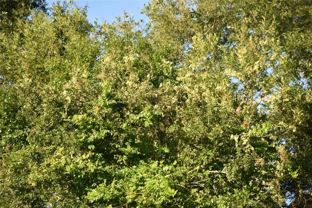 Photo of 5300 U-Pond Drive/County Road 611