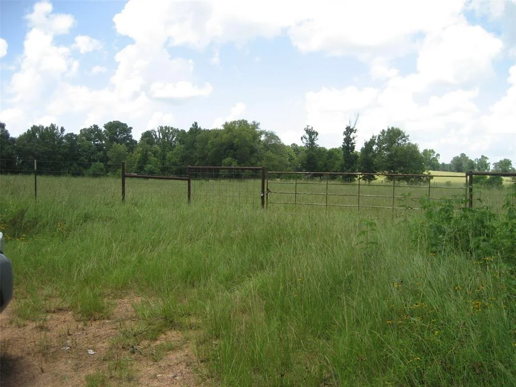 Photo of 00 Cr 2120