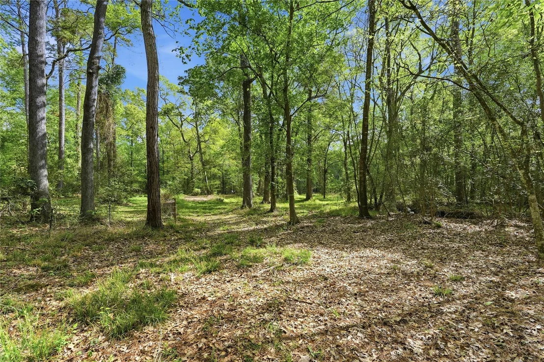 Photo of 19909 Big Oak Drive