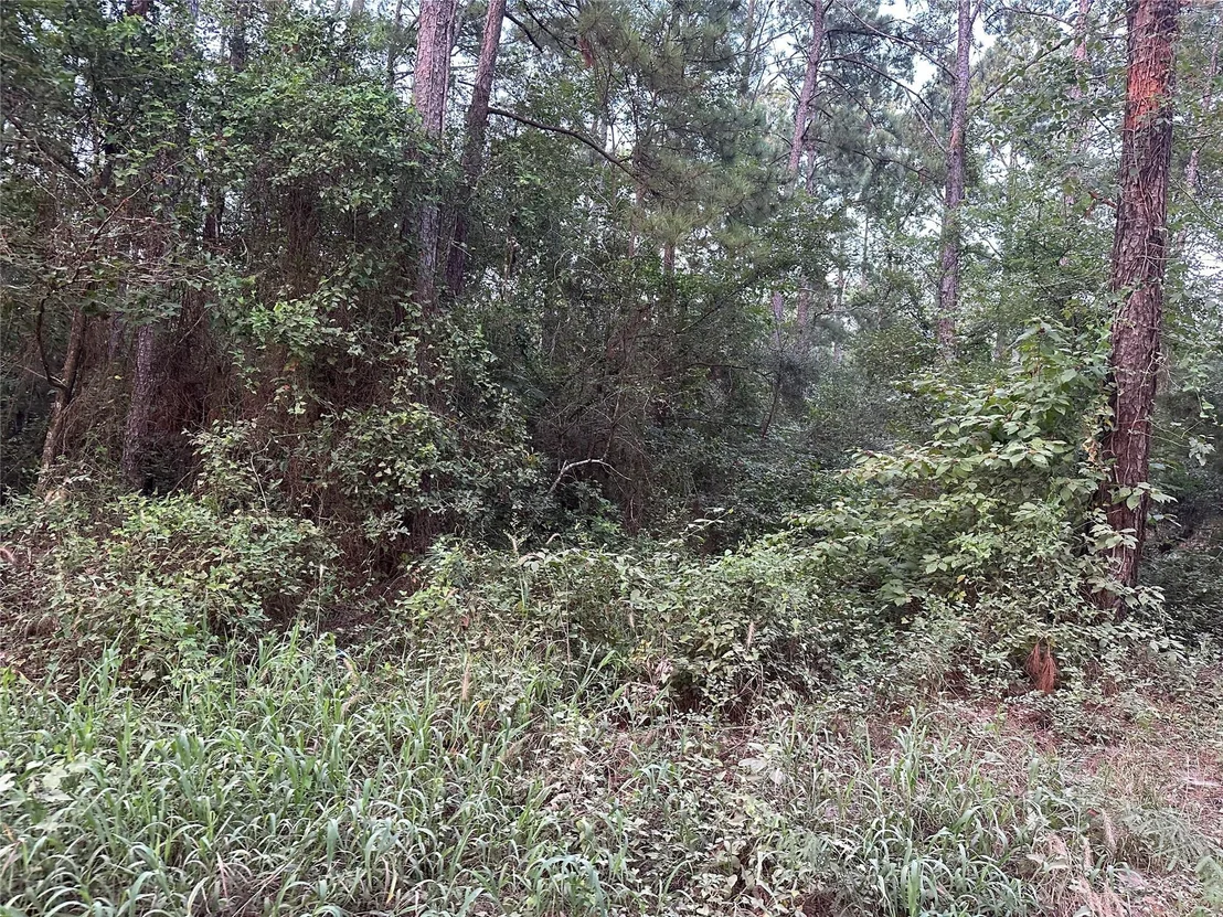 Photo of 2103 Jenkins Road