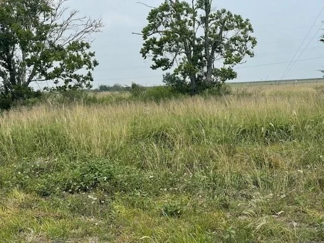Photo of 280 County Road 470