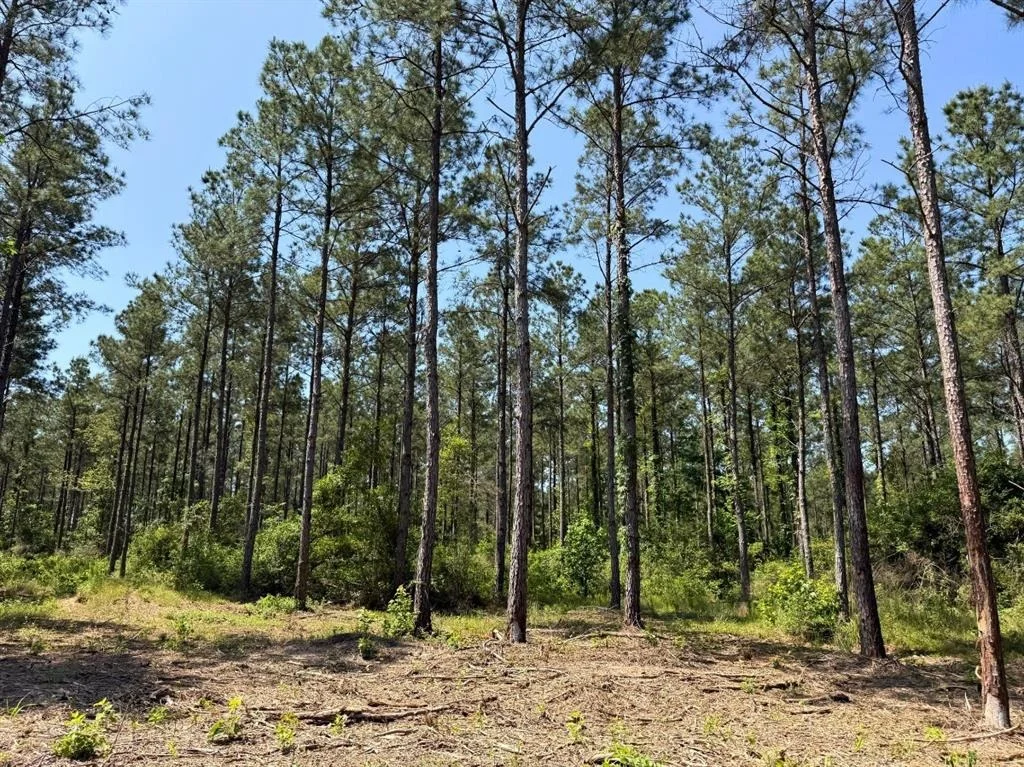 Photo of 1 Camp Ruby Road