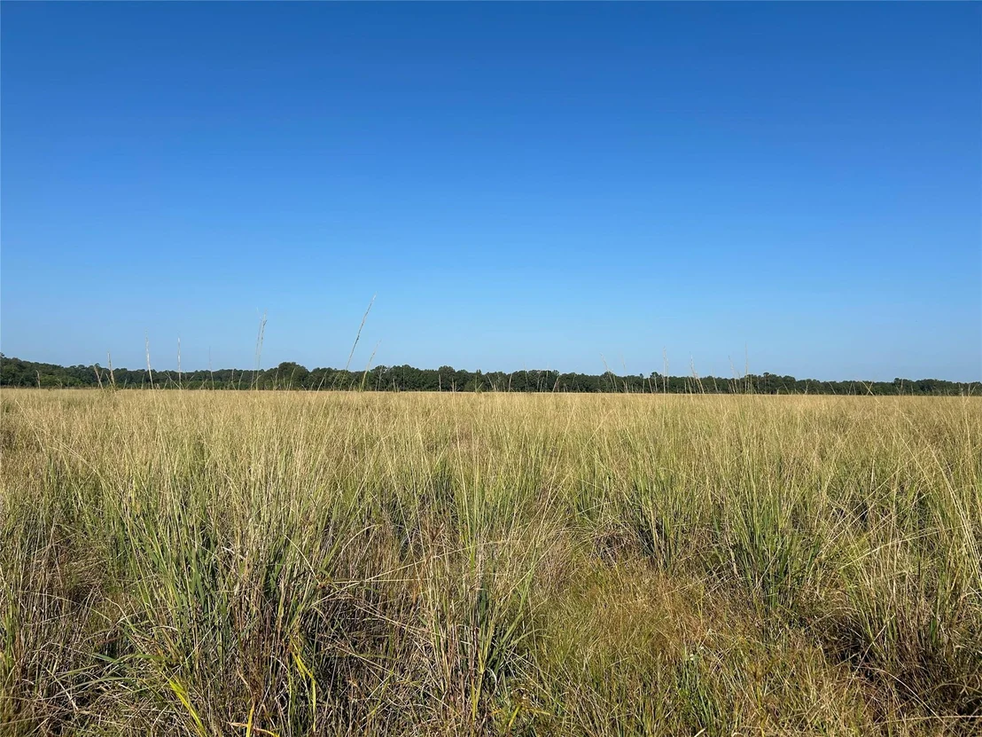 Photo of Lot 61 Minnie West Drive