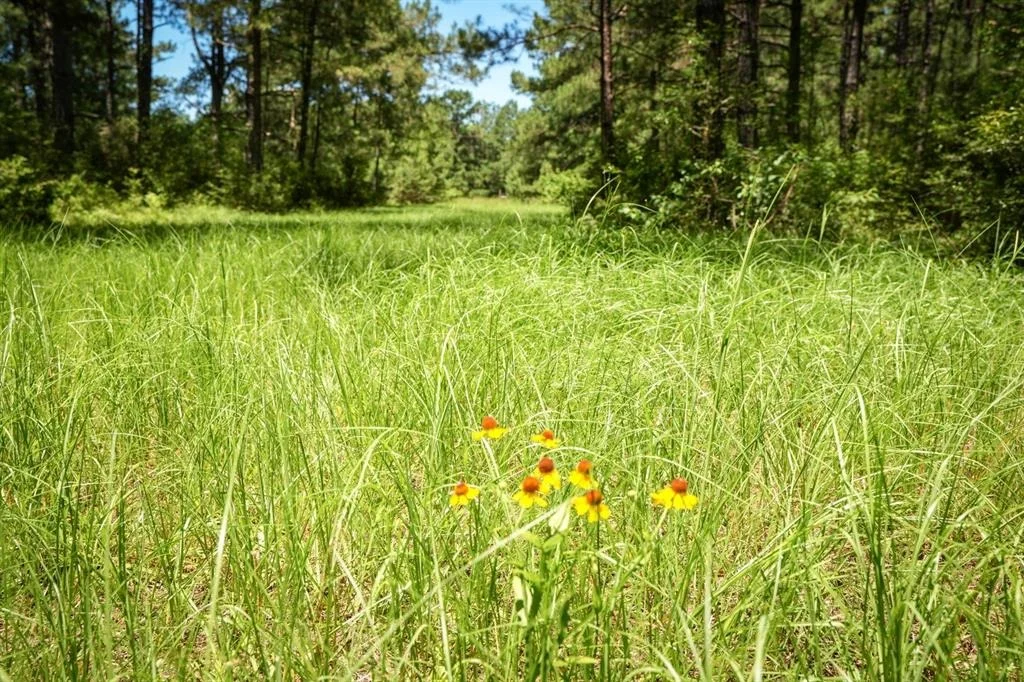 Photo of 850 County Road 4390