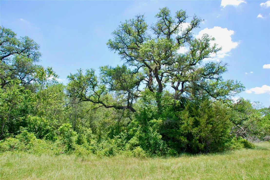 Photo of 2116 Langdon Road